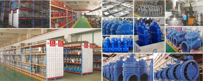 F46 PTFE-Lined Gate Valve workshop center F46 PTFE-Lined Gate Valve workshop center