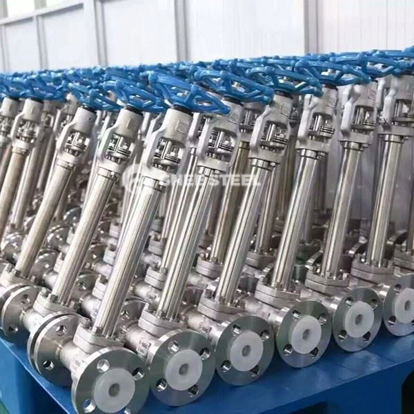 Ultra-low Temperature Globe Valve